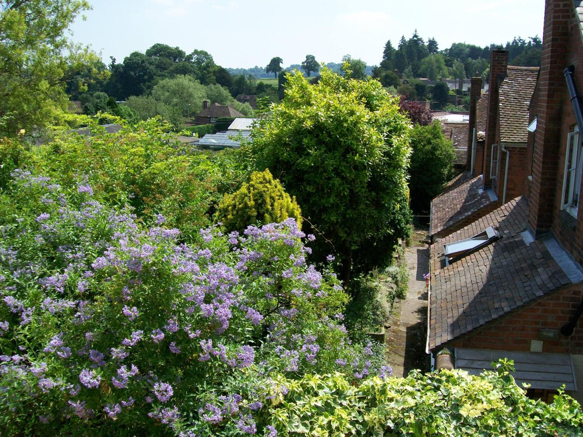 Frog Cottage, Ludlow - A Charming Townhouse For 4 Екстериор снимка